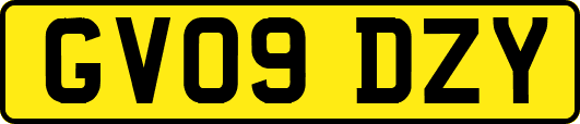 GV09DZY
