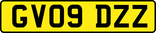 GV09DZZ