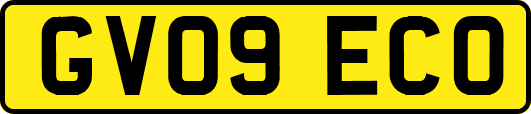 GV09ECO