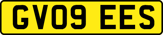 GV09EES