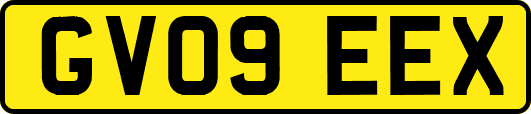 GV09EEX