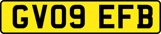 GV09EFB
