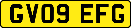 GV09EFG