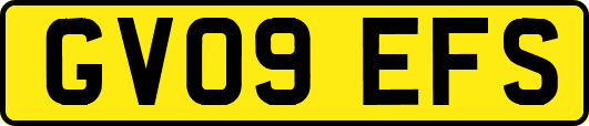GV09EFS