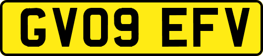 GV09EFV