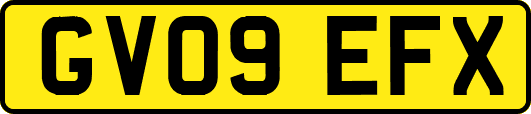 GV09EFX
