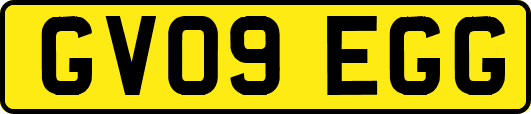 GV09EGG
