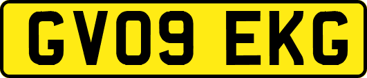 GV09EKG