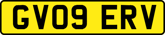 GV09ERV