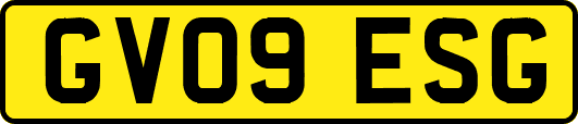 GV09ESG