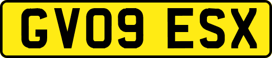 GV09ESX