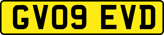GV09EVD