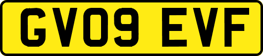 GV09EVF