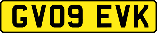 GV09EVK