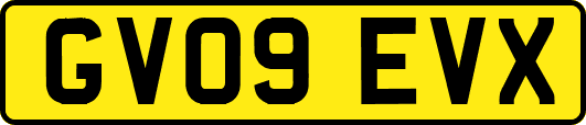 GV09EVX