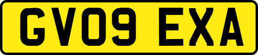 GV09EXA