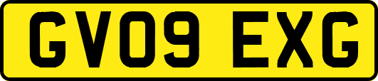 GV09EXG