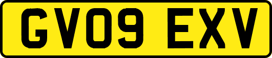 GV09EXV
