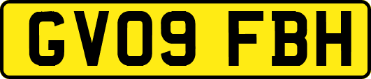 GV09FBH