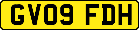 GV09FDH
