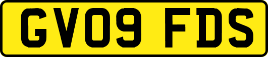 GV09FDS
