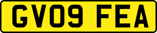 GV09FEA