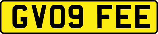 GV09FEE