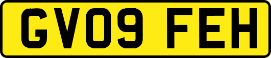 GV09FEH