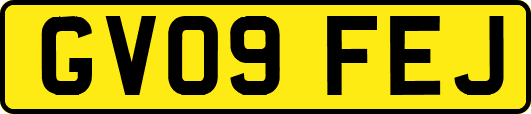 GV09FEJ