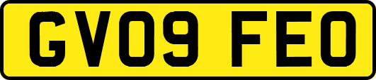 GV09FEO