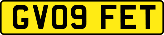 GV09FET