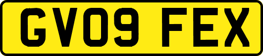 GV09FEX