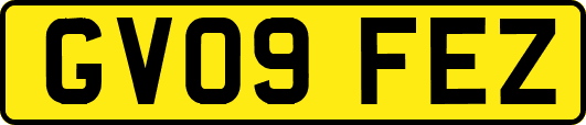 GV09FEZ