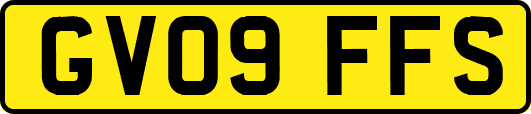 GV09FFS