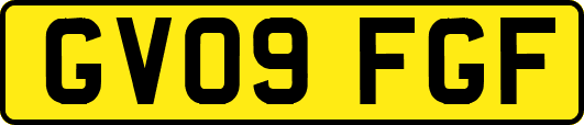 GV09FGF