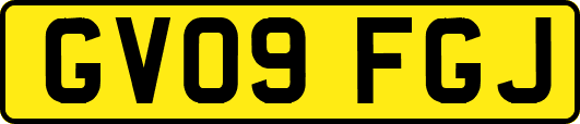 GV09FGJ