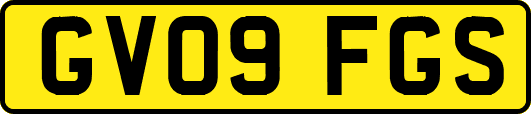 GV09FGS