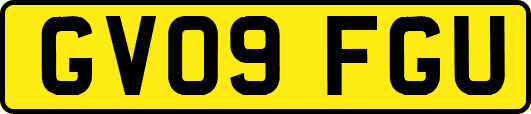 GV09FGU