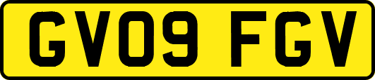 GV09FGV