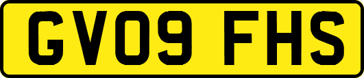 GV09FHS