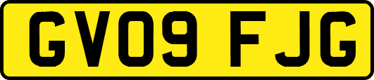 GV09FJG