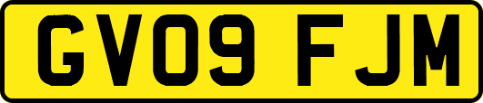 GV09FJM