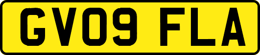 GV09FLA