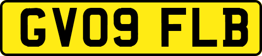 GV09FLB