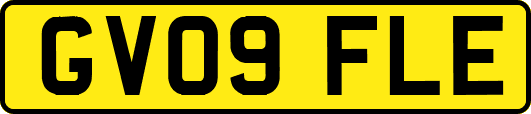 GV09FLE