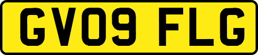 GV09FLG