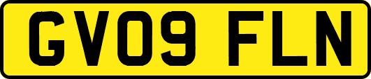 GV09FLN