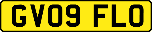 GV09FLO