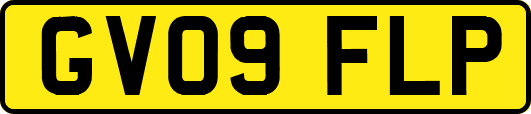 GV09FLP