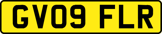 GV09FLR